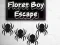 Igra Floret Boy Escape spletu