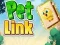 Igra Pet Link spletu