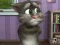 Igra Talking Tom Cat 2 spletu