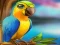 Igra Little Parrot Escape spletu