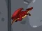 Igra Dragon Domination spletu