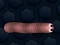 Igra Math Slither spletu