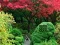 Igra Maple Leaf Garden Escape spletu