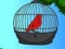 Igra Red Bird Rescue spletu