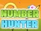Igra Number Hunter spletu