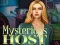 Igra Mysterious host spletu