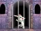 Igra Victory Rabbit Escape spletu