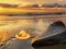 Igra Escape From Sunset Beach spletu