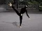 Igra Ninja Academy spletu