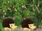 Igra Escape From Mango Farm spletu