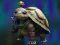 Igra Isolated Turtle Escape spletu