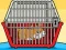 Igra Rescue The Hamster From Cage spletu