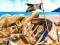 Igra Pirate Mysteries spletu