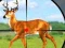 Igra Wild Hunt Hunting Games 3D spletu