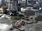 Igra Friends Rescue From Skeleton spletu