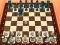 Igra Chess Master 3D spletu