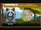 Igra Dream Pet Dimensions spletu