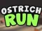 Igra Ostrich Run spletu