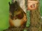 Igra Return To Mysterious Password Forest spletu