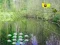 Igra Sunlight Forest Adventure spletu