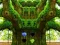 Igra Frenzy Crocodile Escape spletu