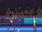 Igra Badminton Brawl spletu