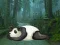 Igra Wakeup The Sleeping Panda spletu