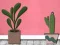 Igra Find Houseplant spletu