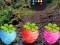 Igra Escape From Fascinated Jungle spletu