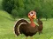 Igra Ready To The Thanksgiving Party spletu