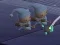 Igra Sleeping Babies spletu
