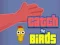 Igra Catch the Birds spletu