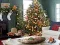 Igra Gingerbread Gala Hunt for 100 Sweet Delights spletu