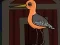 Igra Cute Godwit Escape spletu