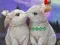 Igra Rescue The Cupid spletu