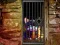 Igra Hidden Cat Escape spletu