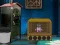 Igra Escape The Greedy Cat From Cage spletu