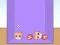 Igra Evolution of Cat Memes spletu