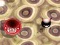Igra Bouncing Blob spletu