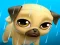 Igra My Virtual Pet Louie the Pug spletu