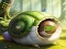 Igra Rescue The Fantasy Snail spletu