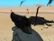 Igra Weapon spletu