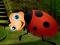 Igra Rescue The Couple Bug spletu