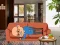 Igra Wakeup The Grandpa spletu