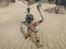 Igra The Scythian Warrior spletu