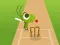 Igra Doodle Cricket spletu