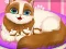 Igra Cute Kitty Pregnant spletu