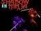 Igra Shadow of the Ninja spletu