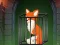 Igra Fox in the Forgotten Ruins spletu