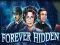 Igra Forever Hidden spletu
